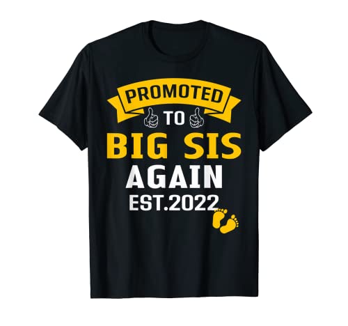 Promovido a Big Sister de nuevo 2022 Funny Big Sis Again 2022 Camiseta