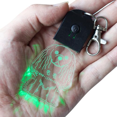 名入れ無料 キーホルダー 迷子札 光る お散歩 ライト LED ペットタグ ネームタグ 犬 夜 散歩 ネームプレート 名札 迷子札 名入れ キーホルダー ドッグタグ 可愛い おしゃれ ギフト プレゼント アクリル
