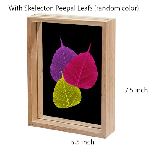 Image of Desi Rang Wooden Frame for Wall Decor Table top Hanging Any Green or dry plant Leaf Picture Photo DIY Gift Home decoration (Natural,Rec,7.7x5.5 inch,with random peepal colored leaf)