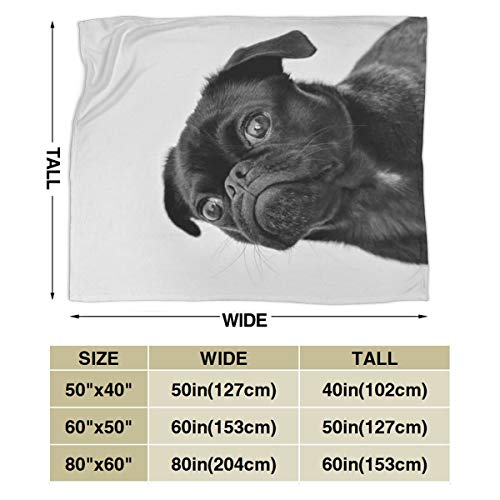 Cute-Black-Pug-Dog-Printed-Blanket-Throw-Lightweight-Soft-Micro-Fleece-Throw-Blankets-Fit-Couch-Bed-Living-Room-Sofa-Chair-60X50 Cute Black Pug Dog Printed Blanket Throw Lightweight Soft Micro Fleece Throw Blankets Fit Couch Bed Living Room Sofa Chair 60X50