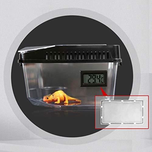 Contenitore in plastica per rettili, ragno