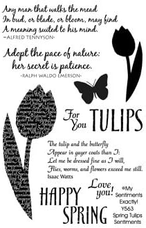 Spring Tulips Clear Unmounted Rubber Stamp Set (Y563)