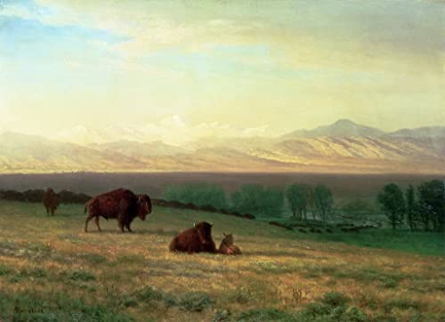 Peinture à l'huile moderne Albert Bierstadt poster sur toile décorative 60x90cm