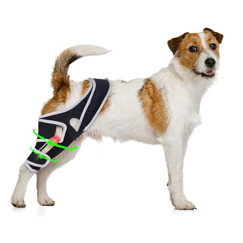 Image of Dog Knee Brace for Torn ACL Hind Leg, Adjustable Dog ACL Braces Rear Leg or Front Legs with Cruciate Ligament Injuries, M