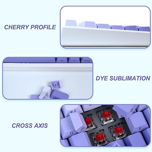 JOLINTAL 124 Tasten PBT Keycaps - Lila Gradient Cherry Profil