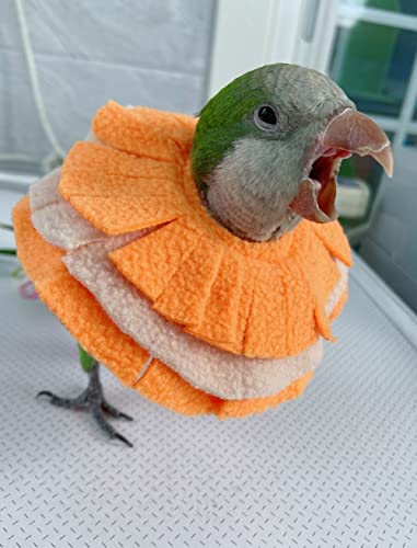 Image of Adjustable Parrot Cone Collar, Safe and Practical Cotton Collar to Prevent Bites and Licking Wounds, to Help heal (XL)