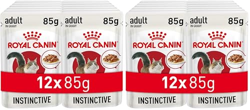 Image of Royal Canin Adult Instinctive Wet Cat Food, Fish, 85 g (24 Pack)