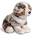 Uni-Toys - Australischer Schäferhund Welpe, sitzend (mit Leine) - 22 cm (Höhe) - Plüsch-Hund, Haustier - Plüschtier, Kuscheltier
