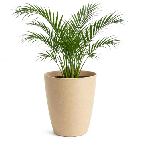 Image of Leafy Tales Modern Round Tower Planter for Home Decor 12 INCH, Highly Durable,Lightweight Indoor Outdoor Planter, Flower Pot Gamla, Pot for Balcony Garden, Vegetables, Flowers & Greenery