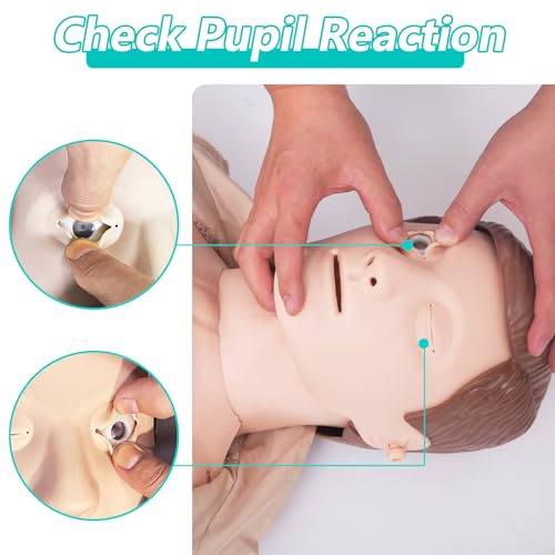 Image of CPR Manikins Dummy Training Kit, Professional CPR Dummies Test Dummies Adult with Medium Skin MCR Med-ical Accessories, CPR Training Set for Classroom or Research Centers