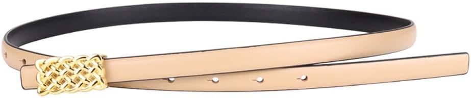 HBJWOV Waistband for Women Cowhide Decoration Suit Belt for Women Dress for Women Waist Up Jeans Belt for Women(White-Dinosaur Doodle4)