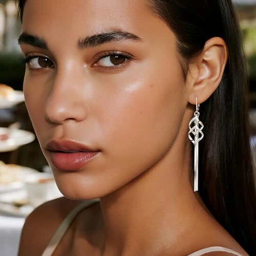 Sterling Silver Dangle Earrings Hypoallergenic Long Tassel Earrings for Women Leverback Spiral Twist Tassel Drop Earring Long Twist Dangle Earings 14K Gold Trendy Jewelry Gifts4