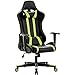 Intimate WM Heart Silla Gaming, Silla Gamer Ergonómica,Silla Escritorio Giratoria,Silla de Oficina con Reposacabeza Apoyo y Cojín Lumbar, para Los Jugadores de PC Gamer, Verde