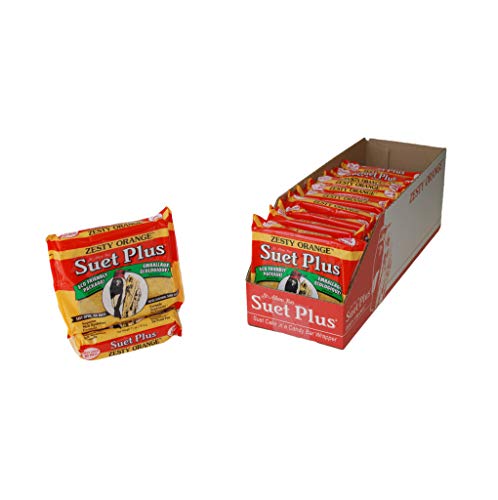 Suet Plus Zesty Orange Suet 12 Pack