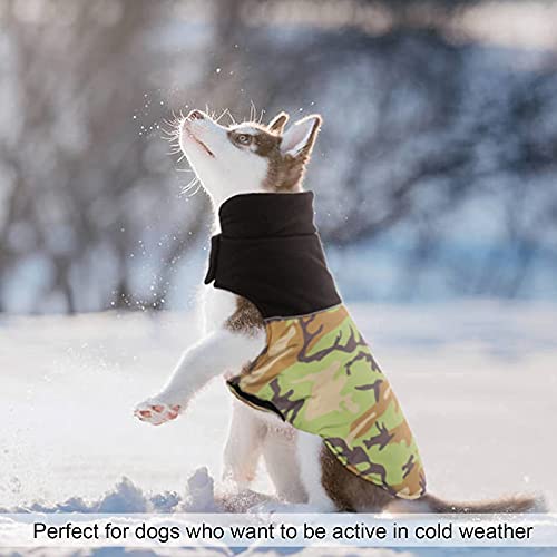 Dora Bridal Dog Hoodie Coat Set, Bundle With One Dog Winter Jacket And One Dog Autumn Hoodie, Comfortable Winter Puppy Jacket, Puppy Breathable Pullover Jumpsuit Sweater Hoodie For Boy Girl Pets #TOP3