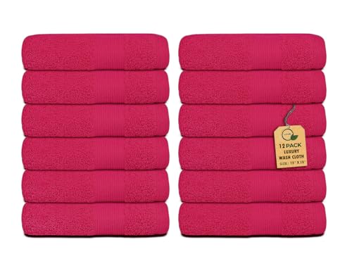 Premium Wash Cloths Pack of 12 (13" x 13") 100% Ring Spun Cotton | Luxury Washcloths | Ultra Soft Face Towels | Highly Absorbent Wash Cloths for face (Raspberry)