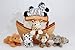 Plush Noah's Ark with Animals - Six (6) Stuffed Animals (Lion, Zebra, Tiger, Giraffe, Elephant, and White Tiger) in Play Ark Carrying Case