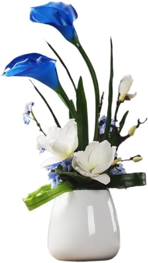 高級種❧原始ロンギシマ錦、エボニー錦、ピンク蝶錦 アッシ錦 鮮やか錦