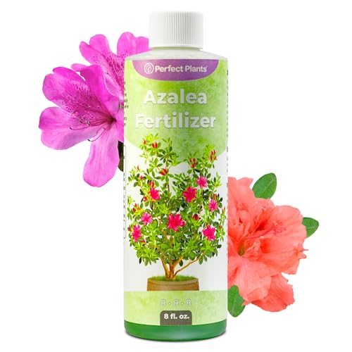 Liquid Azalea Fertilizer by Perfect Plants | Best Plant Food to Enhance Blooms, Brighten Colors...