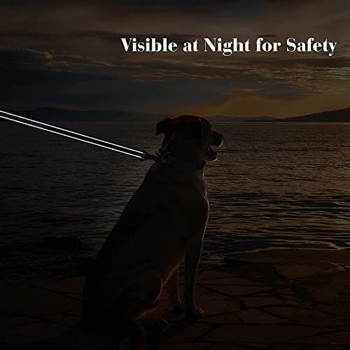 Hank Army Tactical Dog Leash | 3M Reflective | Heavy Duty Rope | Military Grade Metal Hook | Stretchable | Soft Double Handle | Suitable for Training, Walking, Adventure (Black 6 Feet)