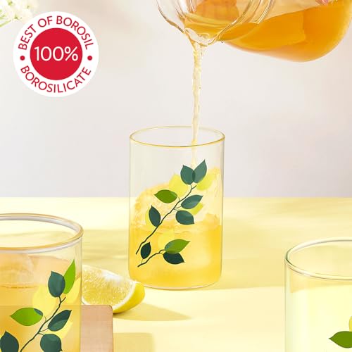 Image of Borosil 295 ml Set of 6 pcs Green Leaves Vision Transparent Glass | Cold Drink Tumbler, Beer Glass, Juice Glass | Flame Proof Glasses | Microwave & Dishwasher Safe | Glass Drinking Tumbler