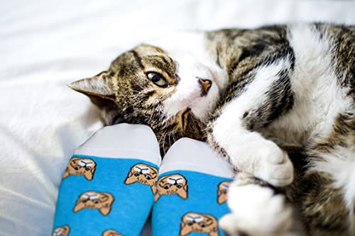 ANOTION Lustige Socken Für Tierliebhaber, Valentinstag Geburtstag Geschenk Originelle Geschenke Für Katzenliebhaber Frauen, Baumwollsocken, Rutschfeste Sock, Cat Socken Für Damen Und Herren