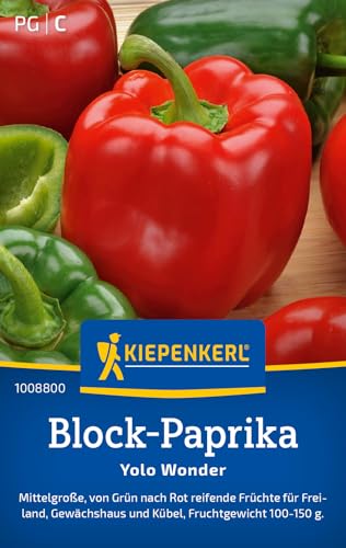 Kiepenkerl Block-Paprikasamen Yolo Wonder 1008800 – Mittelgroß - von grün nach rot reifend - 100-150g - Saatgut, Samen Gemüse, Paprikapflanzen