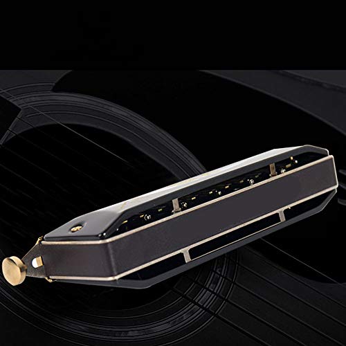 Harmonica Professional Player Étudiants Top Grade 12 Trous 48 Tons Harmonica Orgue à Bouche avec étui (Noir, Taille… - Les Beatles, Paul McCartney, John Lennon, RIngo Starr, George Harrison Harmonica Professional Player Étudiants Top Grade 12 Trous 48 Tons Harmonica Orgue à Bouche avec étui (Noir, Taille… – Image 5