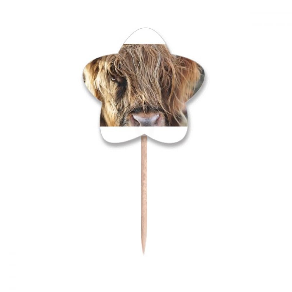 Cure-dents animal buffle en bois pour décoration de table étoile