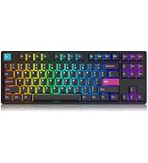 Akko 5087S Clavier de Jeu mécanique RVB, Clavier TKL Filaire 87 Touches, Prend en Charge la Progr...