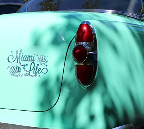 Vvivid Deco65 12" X 5Ft Multi-Color Adhesive Craft Vinyl Bundle Including 12" X 24" Transfer Paper Roll For Cricut, Silhouette & Cameo (30 Roll Bundle) #TOP7