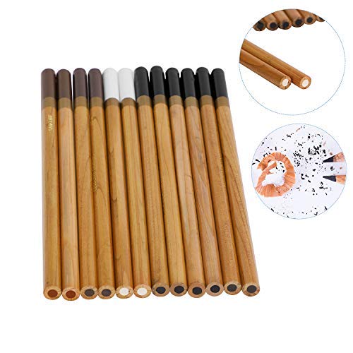 12 Pack General Sketch Pencil Charcoal Colorful Pencils Colored Highlight Pen Drawing and Sketching Pencil Art Supplies Charcoal Stick Wooden Colored Pencils for Artist and Beginner Art Projects