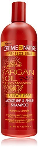 Creme of Nature Professional Argan Oil Moisture and Shine Shampoo, 20 Ounce by Creme of Nature