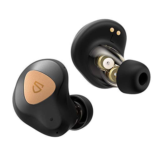 Wireless Earbuds,with Dual Dynamic 