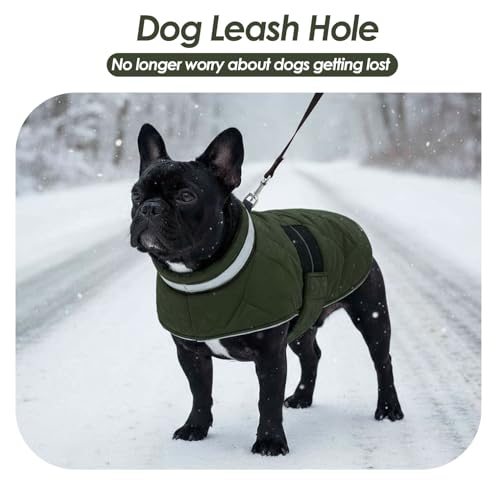 ASENKU Hundemantel für Kleine Hunde XS, Hundemantel Winter Wasserdicht, Fleece Reflektierende Hundejacke Warm mit Verstellbarem,Wintermantel Hund mit Geschirr Loch Karierte für Chihuahua,Dackel