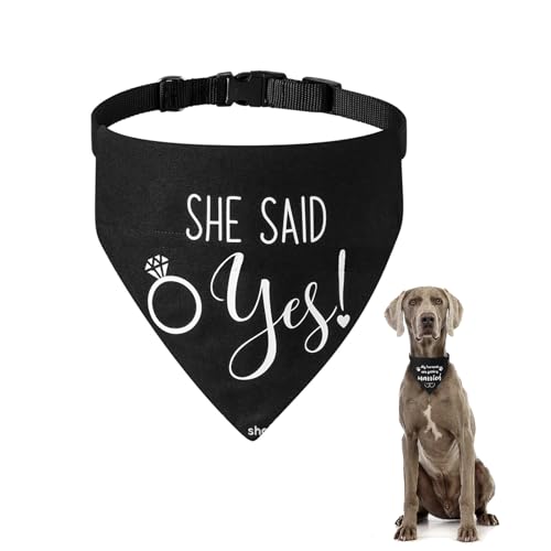 ̃XJ[t ̎ o_i OpXJ[t Lp߉\ o_i 悾 ꂩ킢 ybgpi XJ[t t LΉ p XJ[t Lp ANZT[ ̌̎ցAa  p[eB[ XO[~ OANZT[i