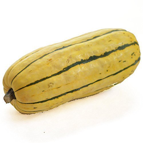 Organic Delicata Squash