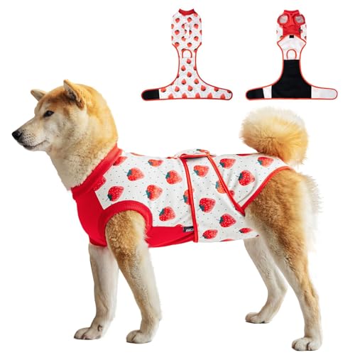 Image of Dog Recovery Suit After Surgery, Dog Surgery Suit Female Spay Recovery Suit for Small Medium Dogs, Prevent Licking Dog, Dog Wound Care Shirt Cone Alternative for Wound Protection(M)