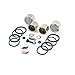 Motorcycle Front Brake Caliper Rebuild Seal & Piston Kit for select Triumph models by Brakecrafters BCF29NP