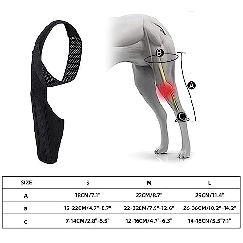 Kasmole Tutore per Anca per Cani | Tutore di