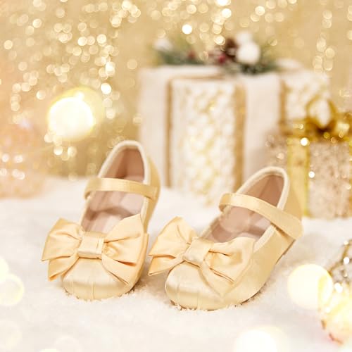 Image of GINFIVE Toddler Girls Dress Shoes Little Girls Mary Janes Ballerina Flats Shoes Toddler
