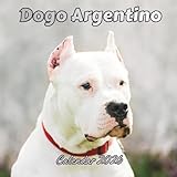 dogo argentino cucciolo bianco  Dogo Argentino Calendar 2026: Organizer For Home & Office From January to December For Men, Women