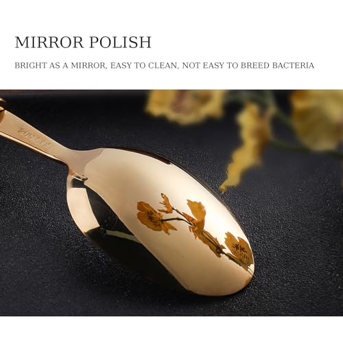 Set Cuchillos Cocina 24 Piezas Acero Inox miniatura 5