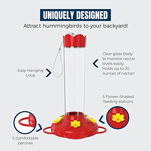 image for MEKKAPRO Outdoor Hummingbird Feeder Made from Glass, Hanging 5 Nectar 