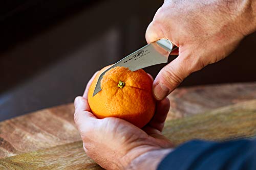 Spelucchino Professionale in Acciaio Damasco, Coltello da Cucina Professionale Giapponese, Coltello per Intaglio Frutta, Lama da 9cm, Manico in Resina Micarta - Yukimura Japan Knives - immagine 5