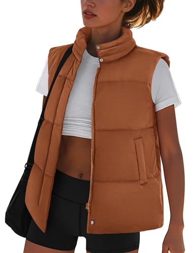 Zeagoo Puffer Vest Women Stand Collar Sleeveless Fall Jackets Zip Up Puffy Outerwear Quilted Gilet Winter Pocket Outfits2