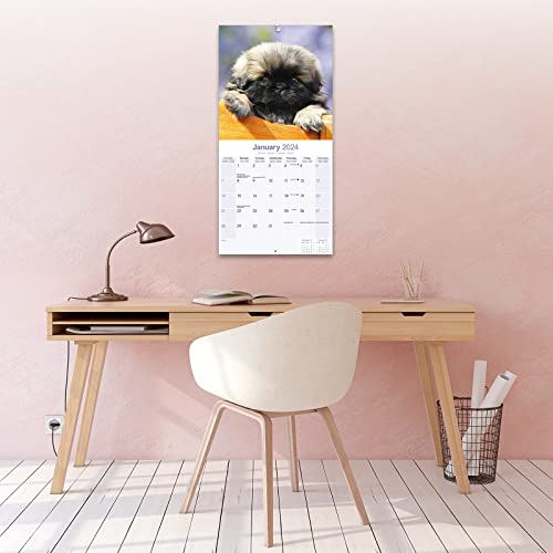 Pekingese Calendar 2024 | Square Dog Breed Wall Calendar - 16 Month - Image 4