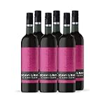 Scavi & Ray – SCAVI & RAY Al Cioccolato aromatisierter Rotwein 10% Vol. - 