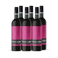Scavi & Ray – SCAVI & RAY Al Cioccolato aromatisierter Rotwein 10% Vol. - 