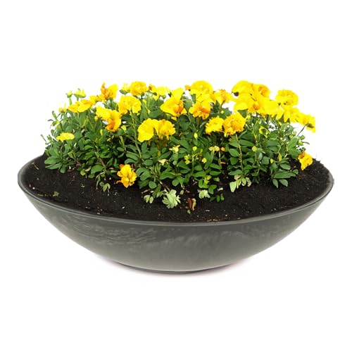 matches21 HOME & HOBBY Wetterfeste Pflanzschale für draussen in 35 cm -...